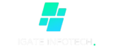 igateinfotech.com